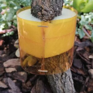 HORMI STOP BARRERA ANTI HORMIGA